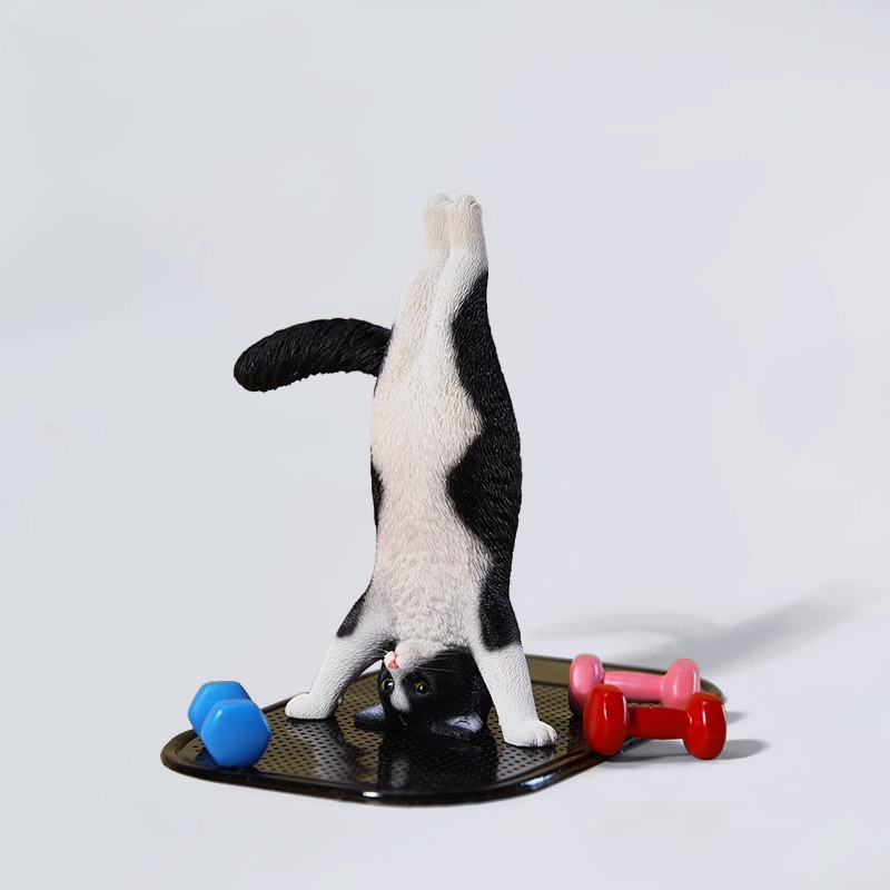 Mini gato de Fitness simulado  - Yoga Fitness First reseña y precio